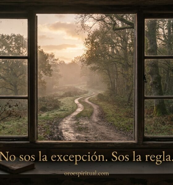 Ventana abierta con vista a un camino entre árboles al amanecer, con la frase "No sos la excepción. Sos la regla."