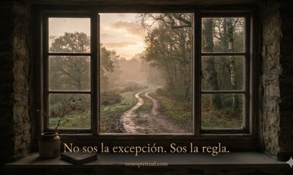 Ventana abierta con vista a un camino entre árboles al amanecer, con la frase "No sos la excepción. Sos la regla."