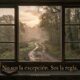 Ventana abierta con vista a un camino entre árboles al amanecer, con la frase "No sos la excepción. Sos la regla."